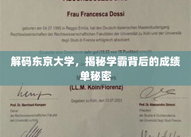 解码东京大学，揭秘学霸背后的成绩单秘密
