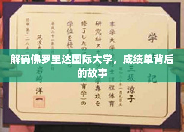 揭秘佛罗里达国际大学，揭开成绩单背后的精彩篇章