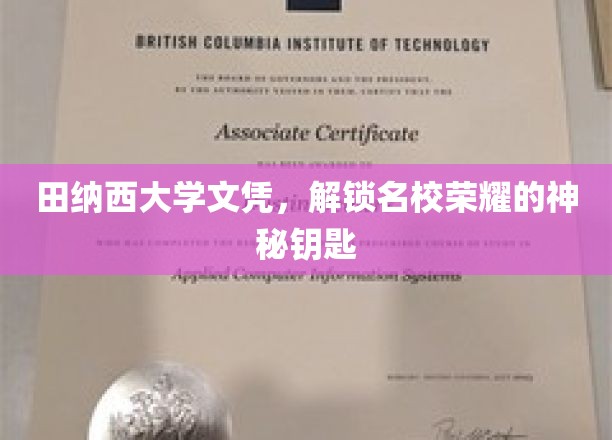 解锁名校荣耀，田纳西大学文凭背后的神秘力量
