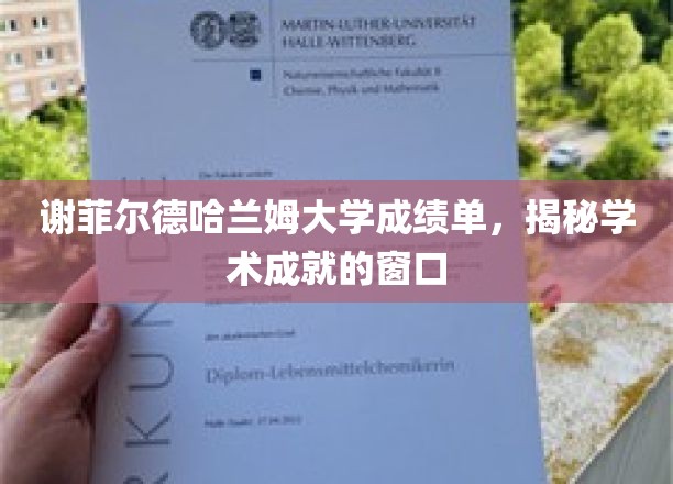 谢菲尔德哈兰姆大学成绩单，揭秘学术成就的窗口