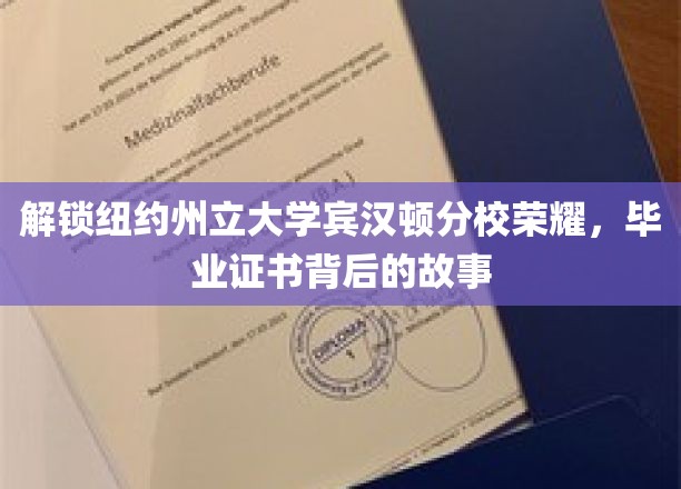 探寻纽约州立大学宾汉顿分校辉煌，毕业证书背后的传奇历程