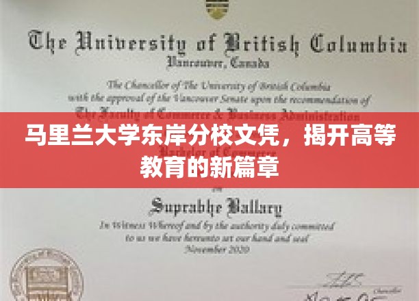 马里兰大学东岸分校文凭，开启高等教育的新篇章
