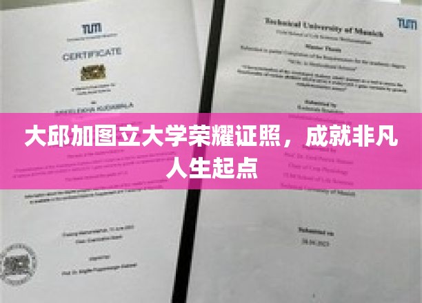 大邱加图立大学荣耀启航，成就非凡人生新篇章