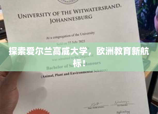 踏上高威大学之旅，解锁欧洲教育的璀璨新星