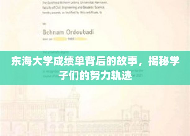 东海学子奋斗足迹，揭秘成绩单背后的青春篇章
