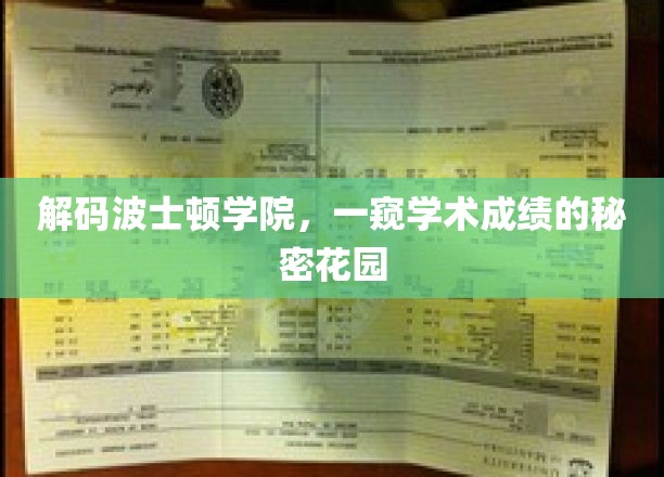 波士顿学院学霸秘境大揭秘，揭秘学术精英的卓越之路
