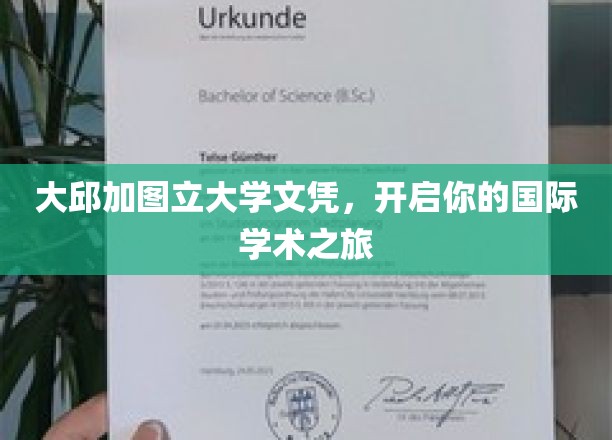 大邱加图立大学文凭，开启你的国际学术之旅