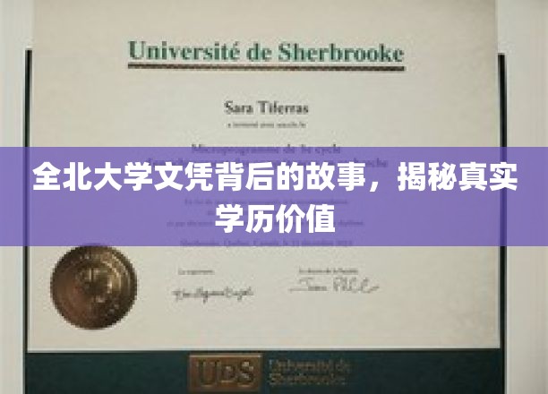 揭开全北大学文凭之谜，探寻学历背后的真实价值