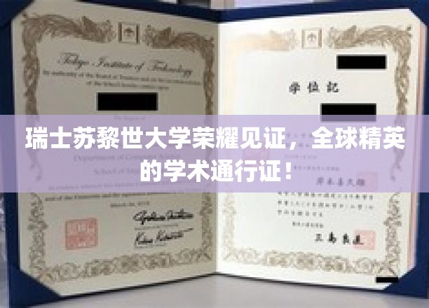 苏黎世大学荣耀加冕，国际精英共赴学术巅峰之旅