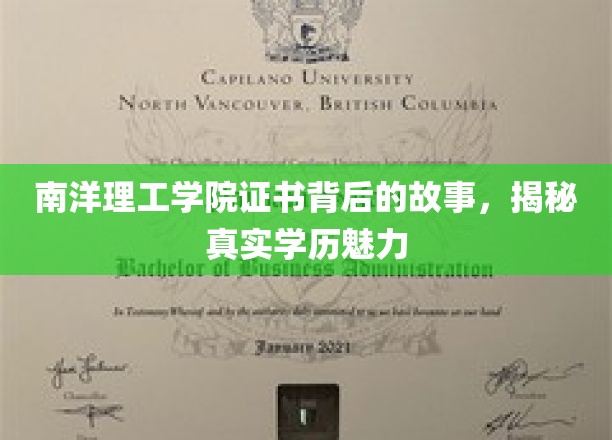 探寻南洋理工学院证书背后，学历魅力的真实演绎