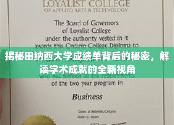 探寻田纳西大学成绩单背后的奥秘，解锁学术成就的独特解读