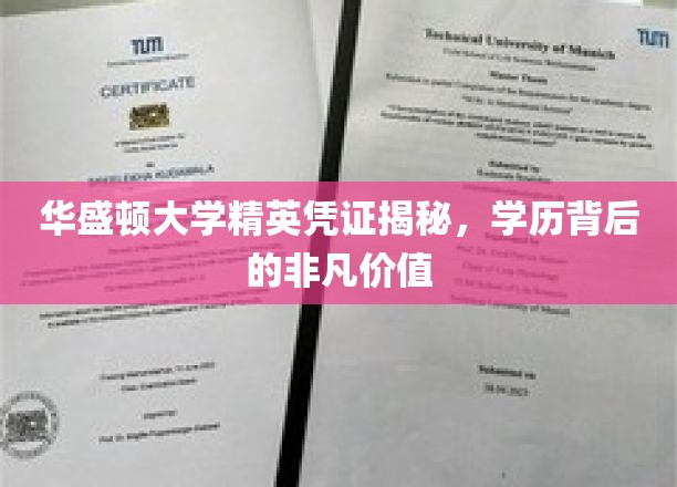 解锁华盛顿大学精英秘籍，一纸学历背后的惊人价值
