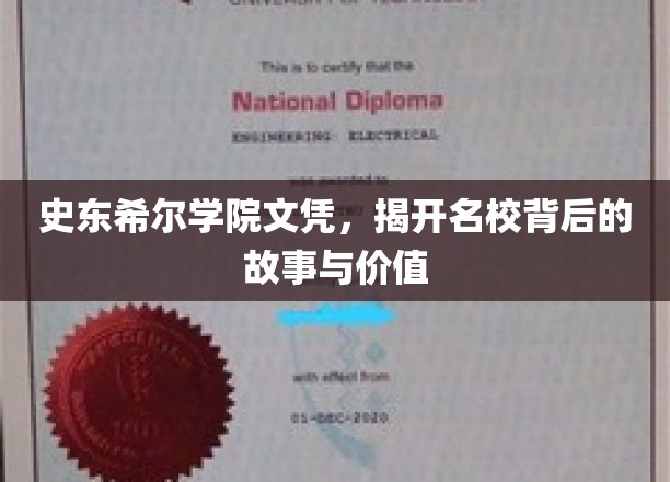 名校光环下的史东希尔，揭秘文凭背后的传奇与价值