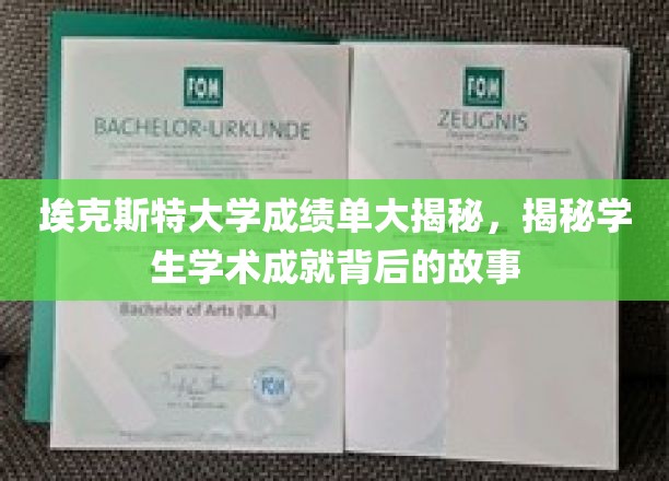 探寻埃克斯特大学学霸背后的真实学术轨迹