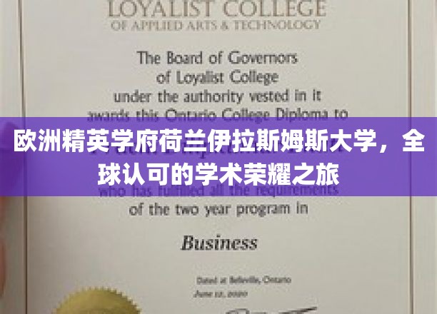 欧洲精英学府荷兰伊拉斯姆斯大学，全球认可的学术荣耀之旅