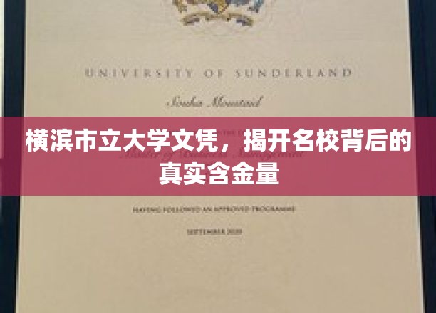 横滨市立大学文凭揭秘，名校光环下的真实价值