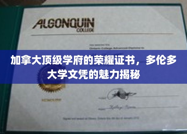探索多伦多大学荣耀证书，揭开顶级学府文凭背后的魅力世界