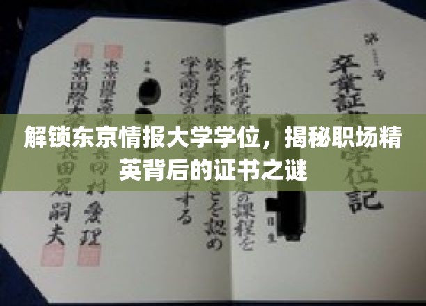 解锁东京情报大学学位，揭秘职场精英背后的证书之谜