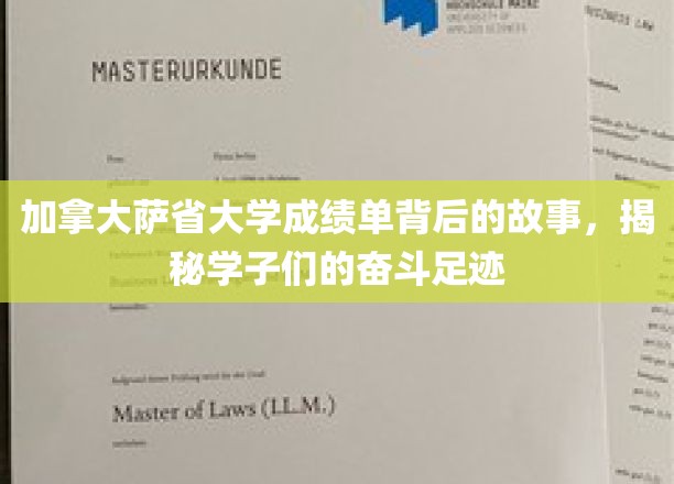 加拿大萨省大学成绩单背后的故事，揭秘学子们的奋斗足迹