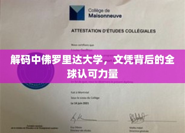 探寻中佛罗里达大学，国际认可的学术护照背后的奥秘