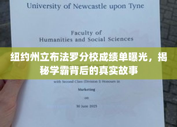 布法罗分校学霸风云录，揭秘成绩单背后的励志人生