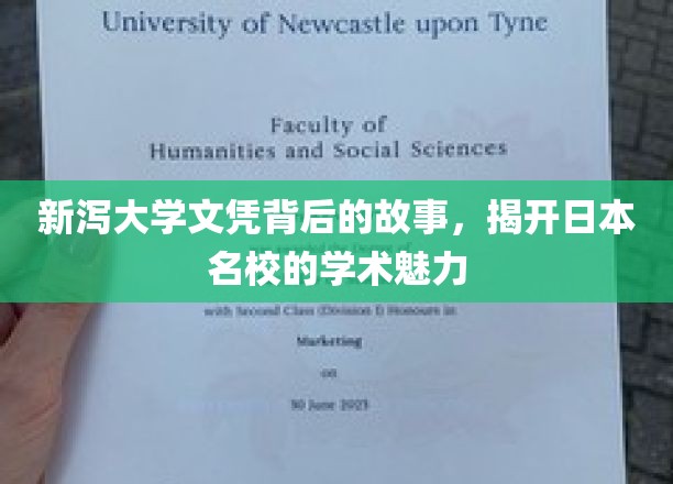 新泻大学文凭背后的故事，揭开日本名校的学术魅力