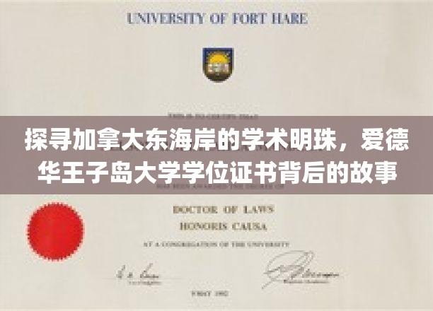 探寻加拿大东海岸的学术明珠，爱德华王子岛大学学位证书背后的故事