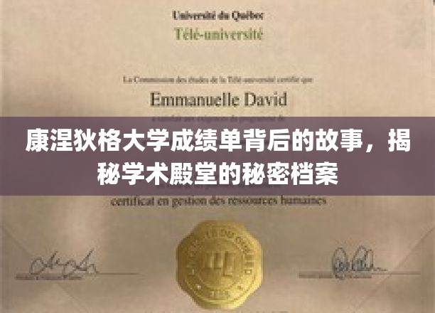 康涅狄格大学成绩单深藏之谜，一窥顶尖学府的秘境档案