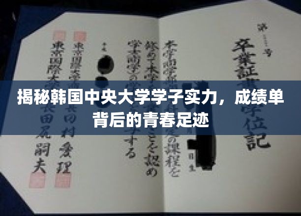韩中央大学精英风采，一纸成绩单映照青春奋斗之路