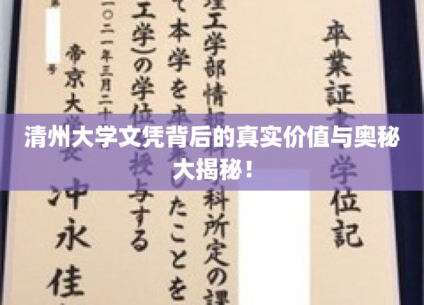 清州大学文凭背后的真实价值与奥秘大揭秘！