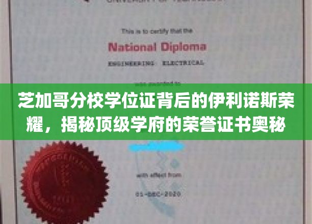 芝加哥分校学位证背后的伊利诺斯荣耀，揭秘顶级学府的荣誉证书奥秘