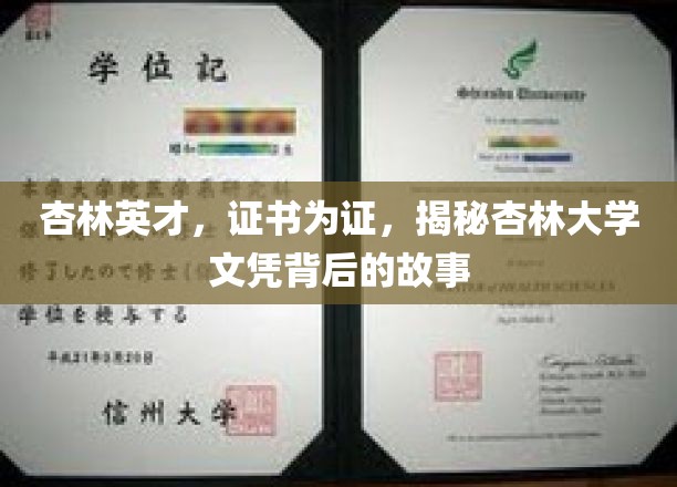 杏林精英认证之谜，揭秘杏林大学文凭背后的传奇之路