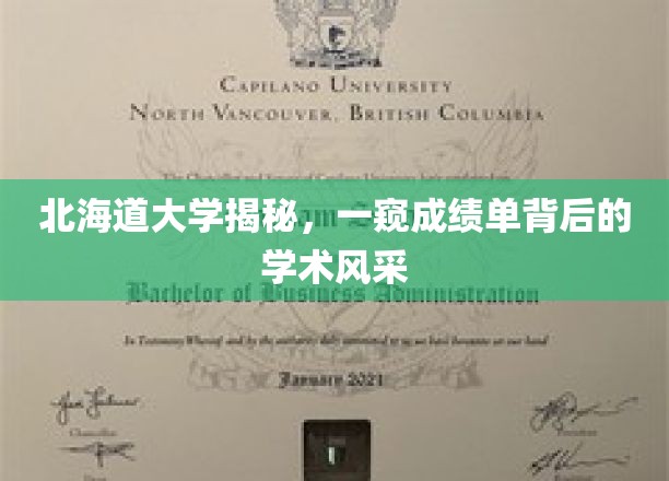 北海道大学成绩单解码，探寻学术精英的璀璨之光