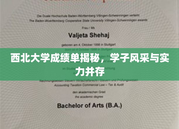 西北学子实力绽放，西北大学成绩单背后的风采纪实