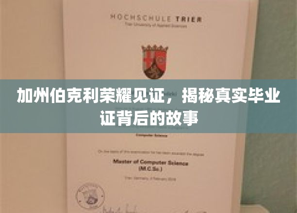 伯克利荣耀之光，探寻真实毕业证背后的传奇历程