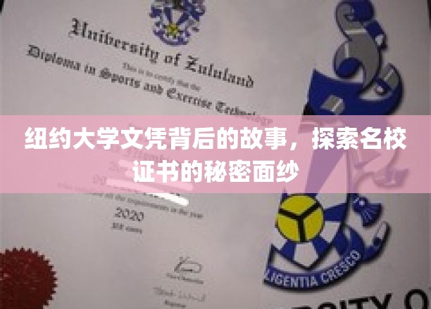 纽约大学文凭背后的故事，揭开名校证书的秘密面纱