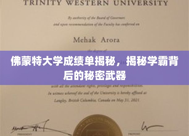 揭秘佛蒙特大学学霸的秘密，成绩单背后的独门秘籍