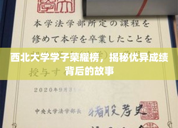 西北骄子荣耀记，揭秘学子卓越成绩背后的传奇之路