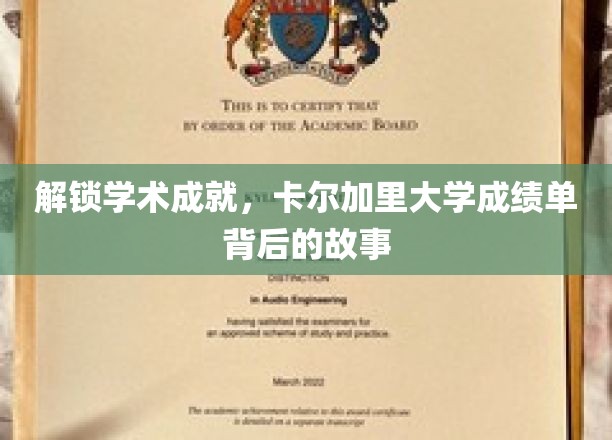揭秘学术荣耀，卡尔加里大学成绩单背后的精彩人生