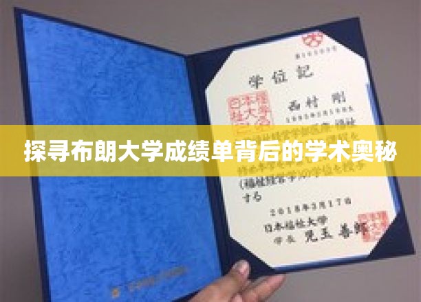 揭秘布朗大学成绩单背后的学术魅力
