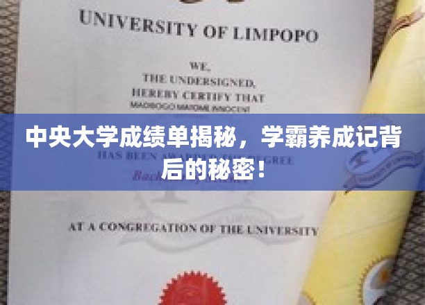 中央大学成绩单揭秘，学霸养成记背后的秘密！