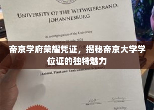 探寻帝京学府荣耀凭证，一纸学位证背后的帝京大学独特风采