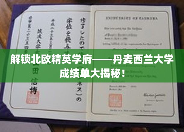 探寻丹麦西兰大学精英风采，一窥其学术成就与教育实力！