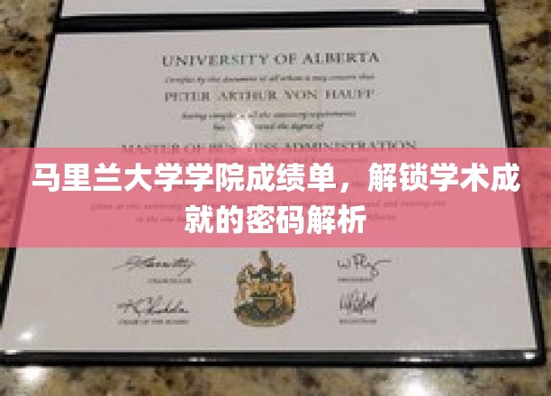 马里兰大学成绩单揭秘，揭秘学术成就背后的关键密码