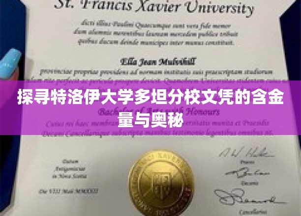 解码特洛伊大学多坦分校文凭，价值与魅力的双重探秘
