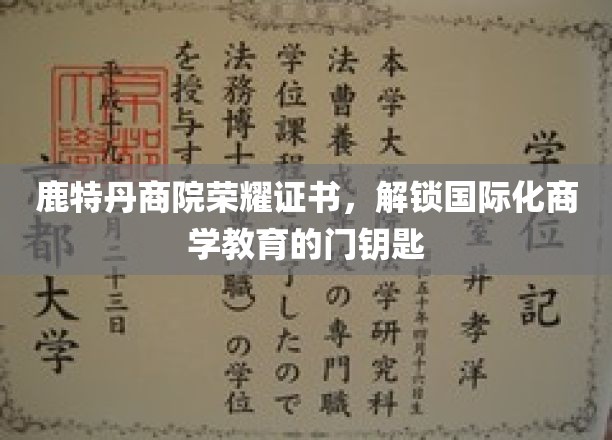 鹿特丹商院荣耀证书，开启国际化商学教育之门