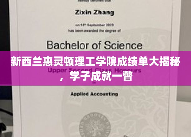解码惠灵顿理工学院学子荣耀，成绩单背后的故事