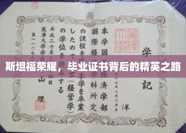 斯坦福光环揭秘，毕业证书背后的精英蜕变之旅
