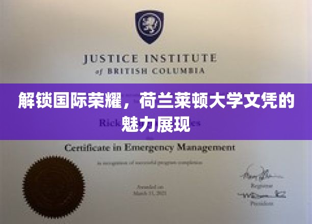 解锁国际荣耀，荷兰莱顿大学文凭的魅力展现