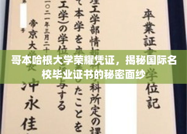 哥本哈根大学证书之谜，一探国际名校文凭背后的神秘世界